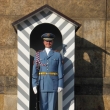 Guardia del Castillo